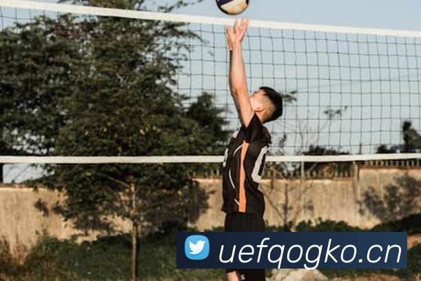 九游ag网页版直接进入平台生态图